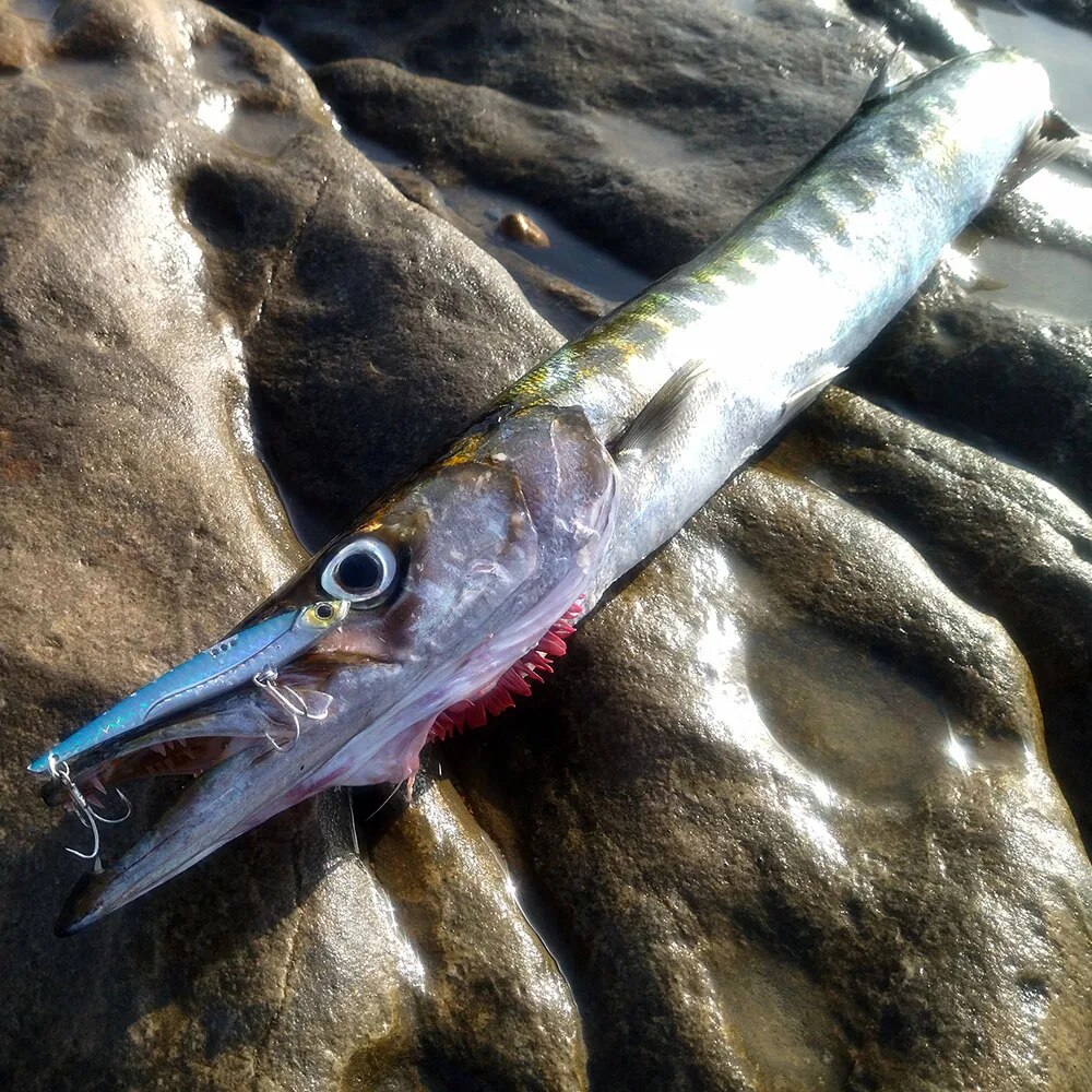 GOBAIT VIB Fishing Lure 20g 25 - Fishing Hook Treble บทวิจารณ์และราคา