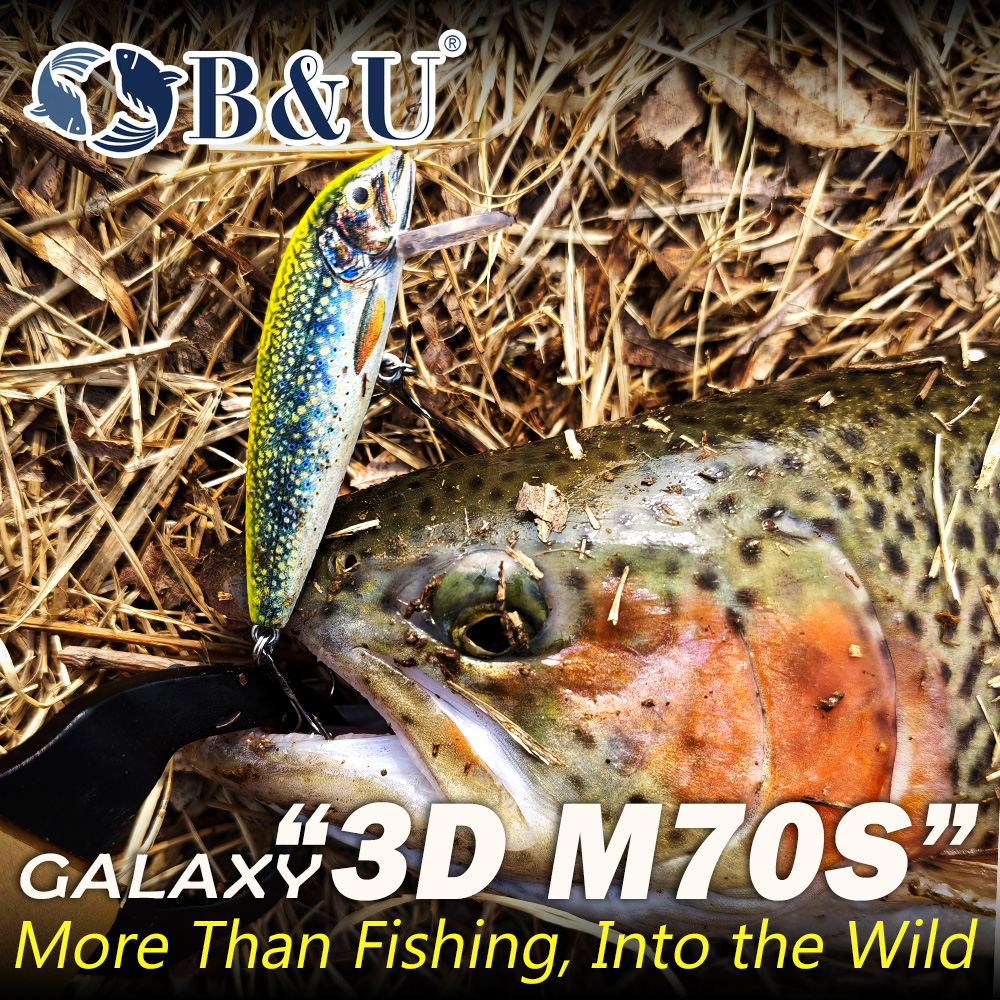 B&U Sinking Minnow Fishing Lur - Fishing Hook Treble บทวิจารณ์และราคา