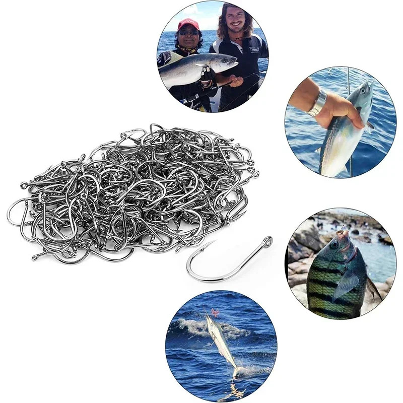 50-1600Pcs/BoxFishing Hooks Ca - Fishing Hook Assortment บทวิจารณ์และราคา