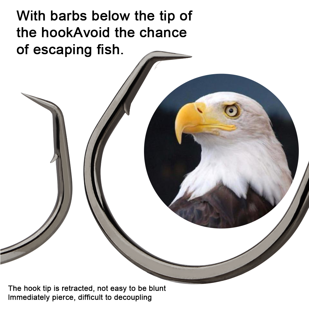 FTK Fishing Hooks Fishing Octo - Fishing Hook Circle บทวิจารณ์และราคา